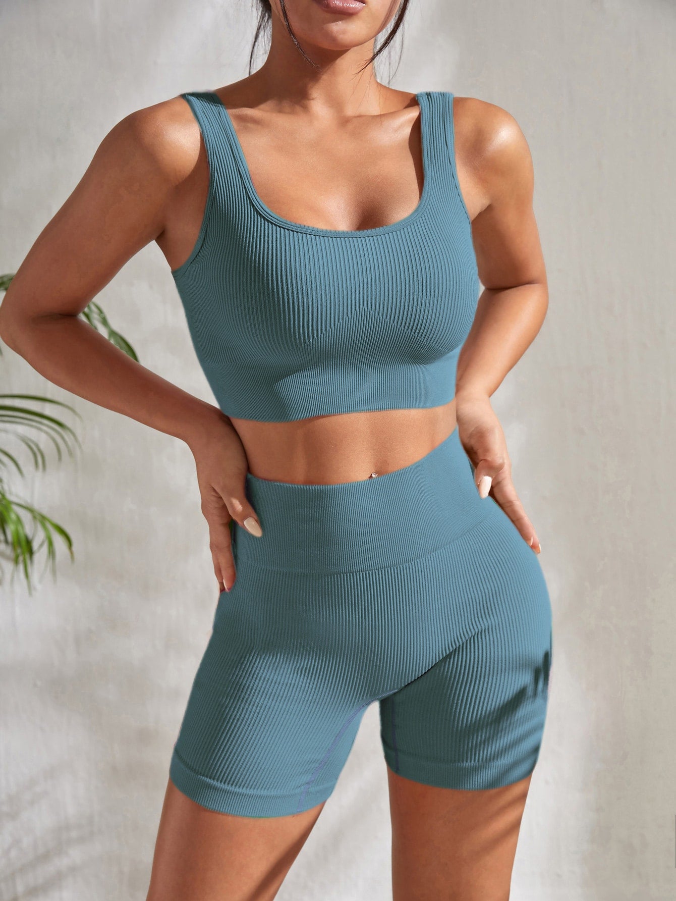Women's Simple Color Seamless Sports Vest And Shorts Set